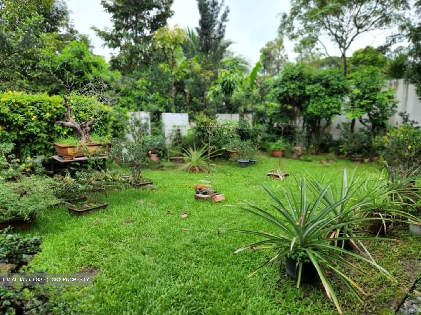 Frankel Estate (D14), Detached #530261391